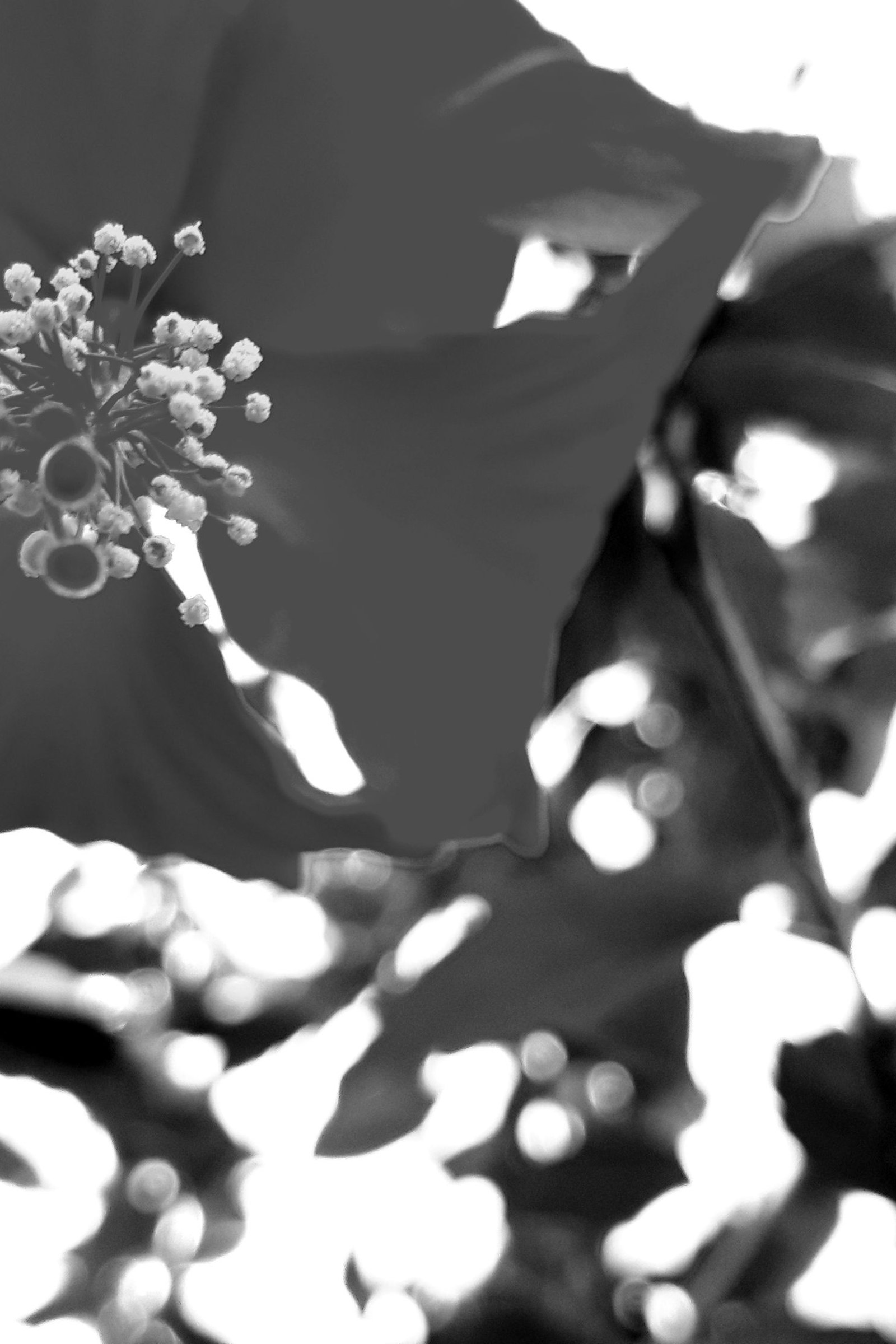 Workspace detail from a project in post-production